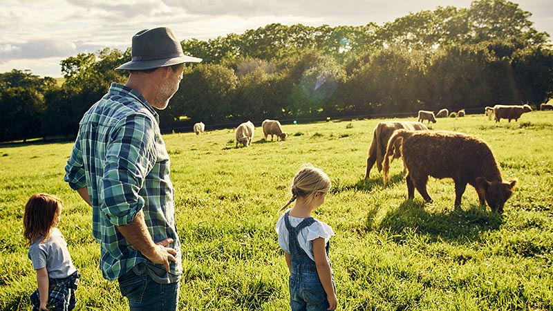 A man and two young kids looking at a field of cattle
